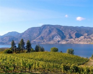 Skaha Lake vineyard Okanagan